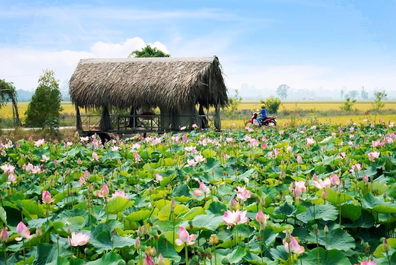 Thời tiết Đồng Tháp có sự khác biệt ở các khu vực